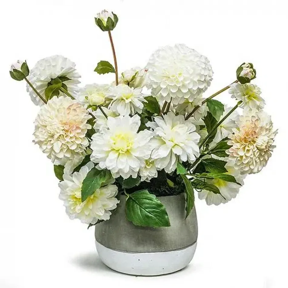 Ash Pot With White Dahlia