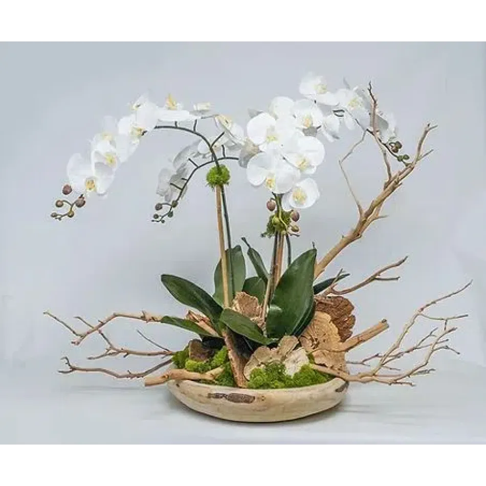 Wood Bowl With Orchids/Manzanita