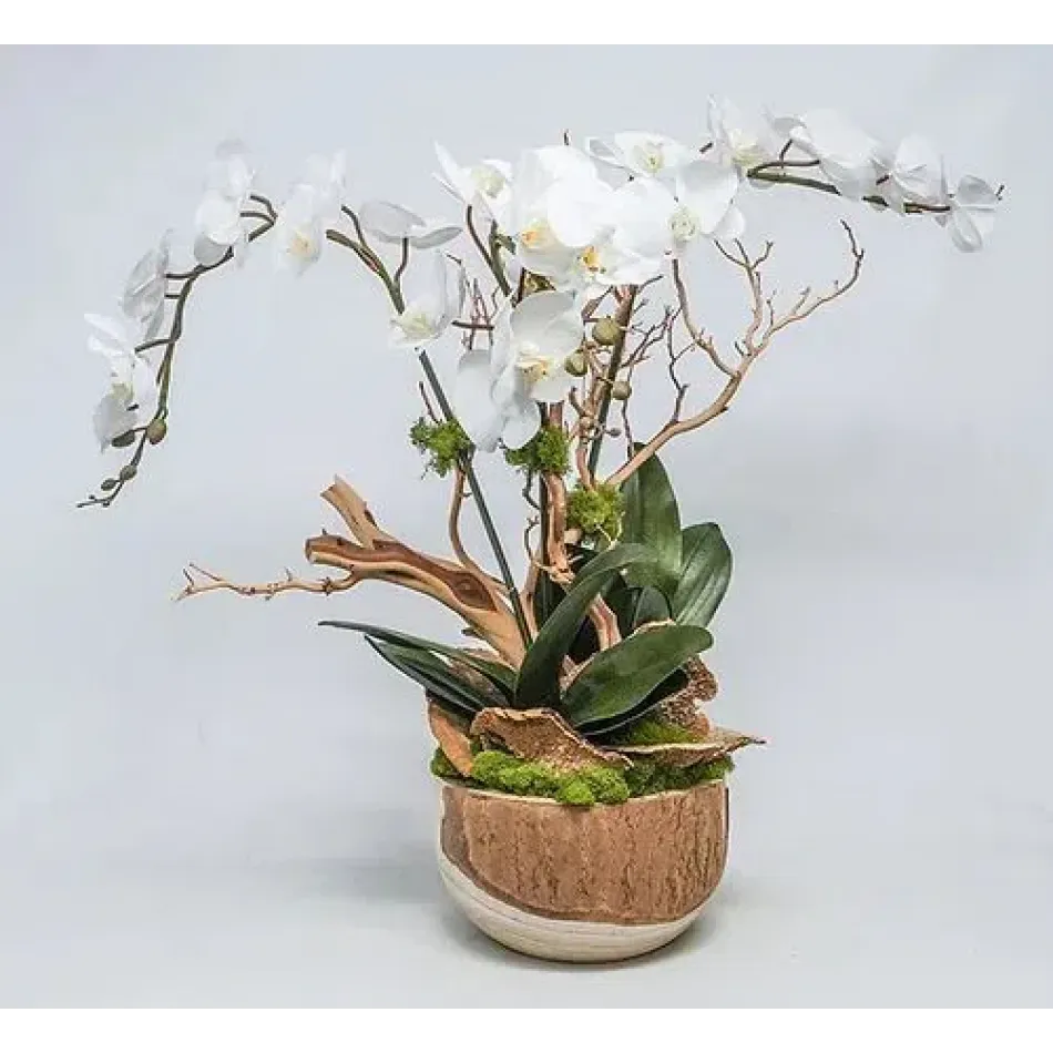 Wood Bowl With Orchids/Manzanita