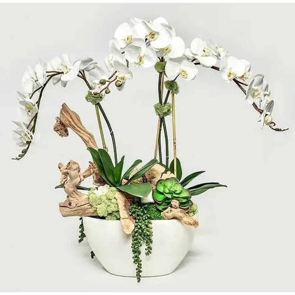 White Oval Pot With Orchids/Crystals/Grapewood