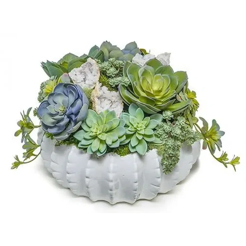 Saguaro Bowl With Succulents/Crystals