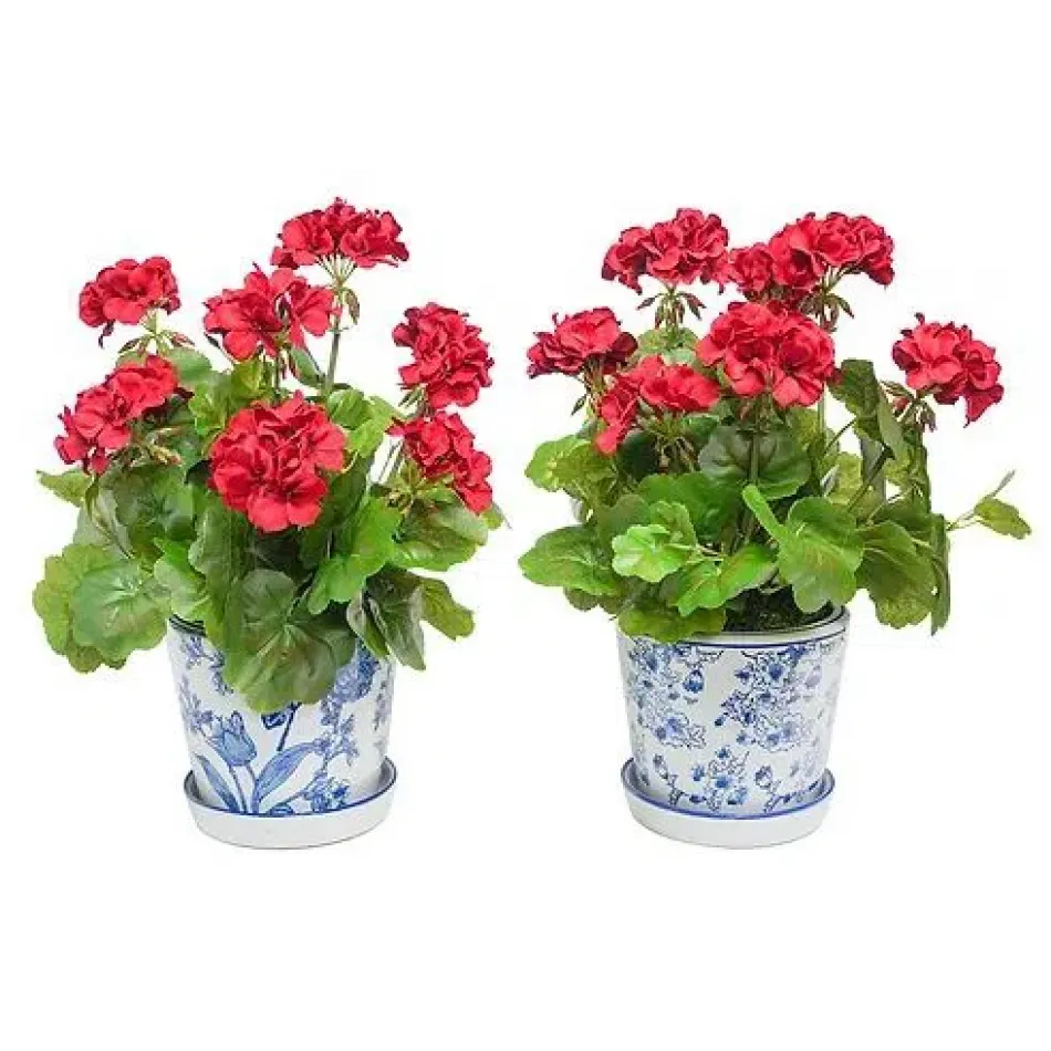 Set of 2 Geranium In Blue/White Garden Pot