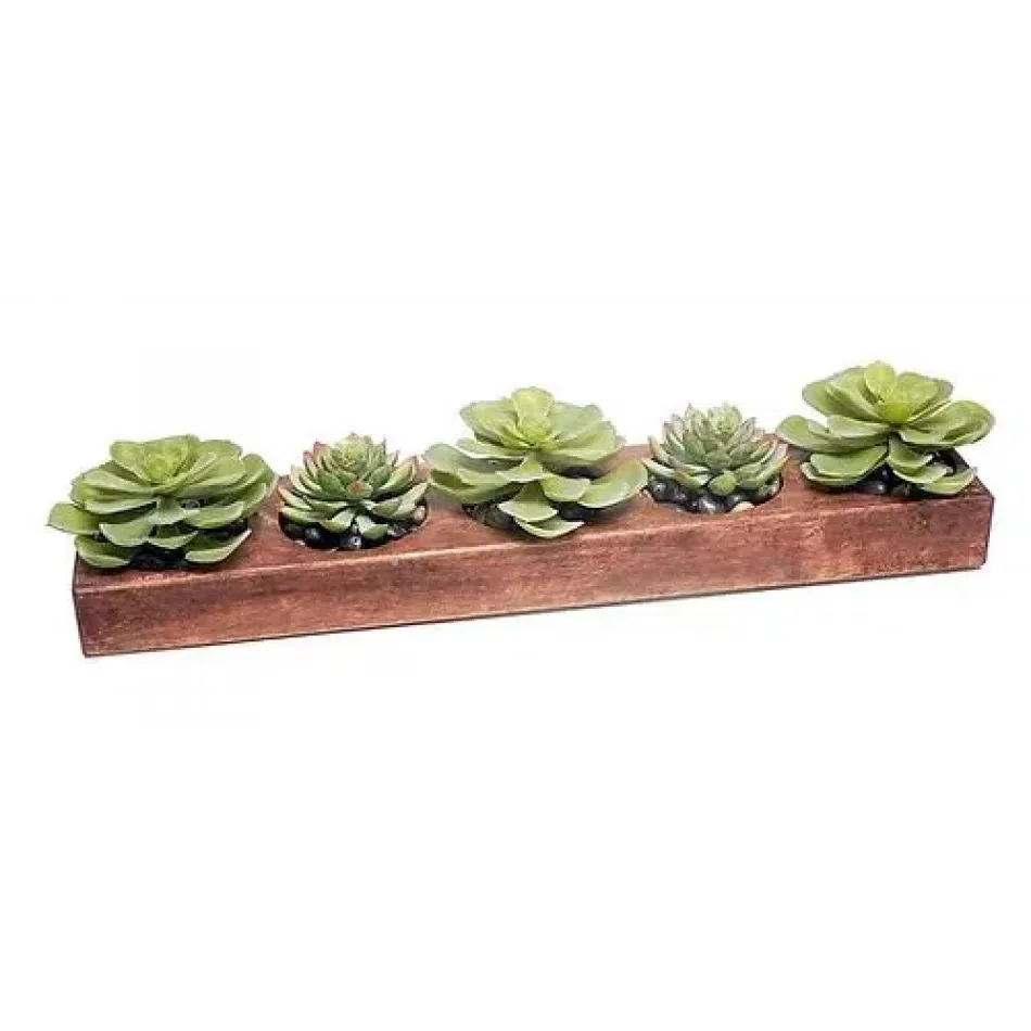 Wood Cheese Mold With Succulents