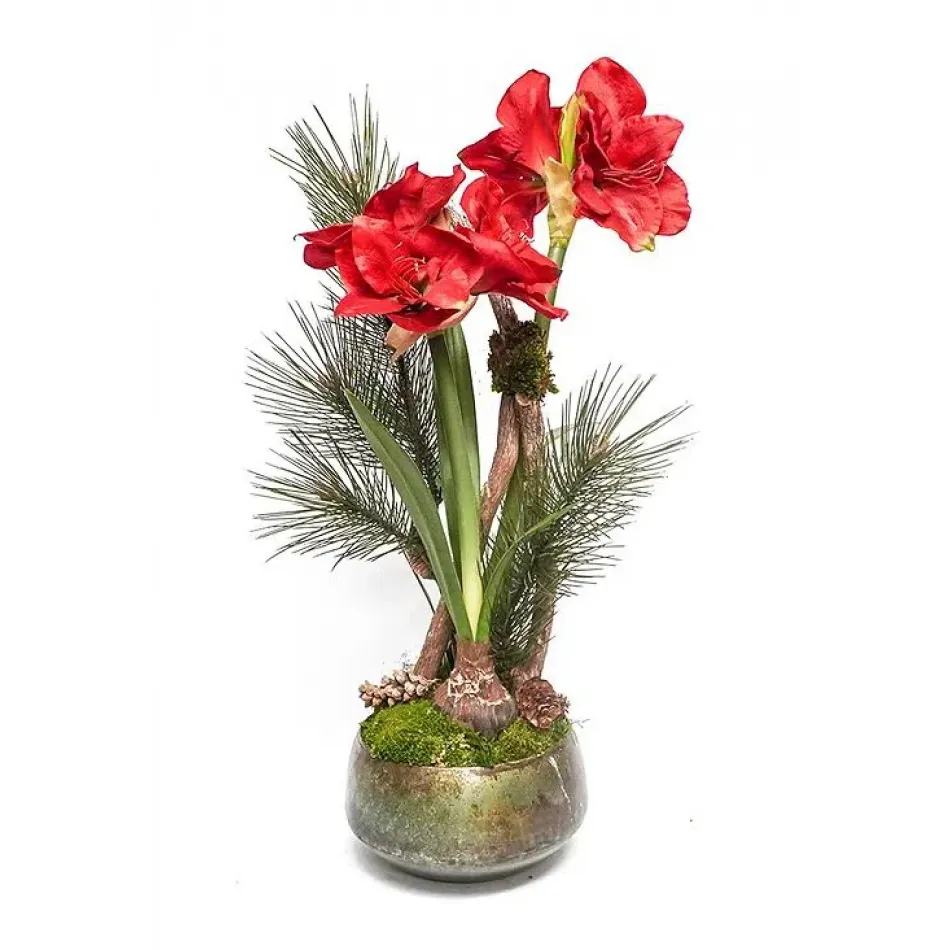 Sosa Bowl With Red Amaryllis
