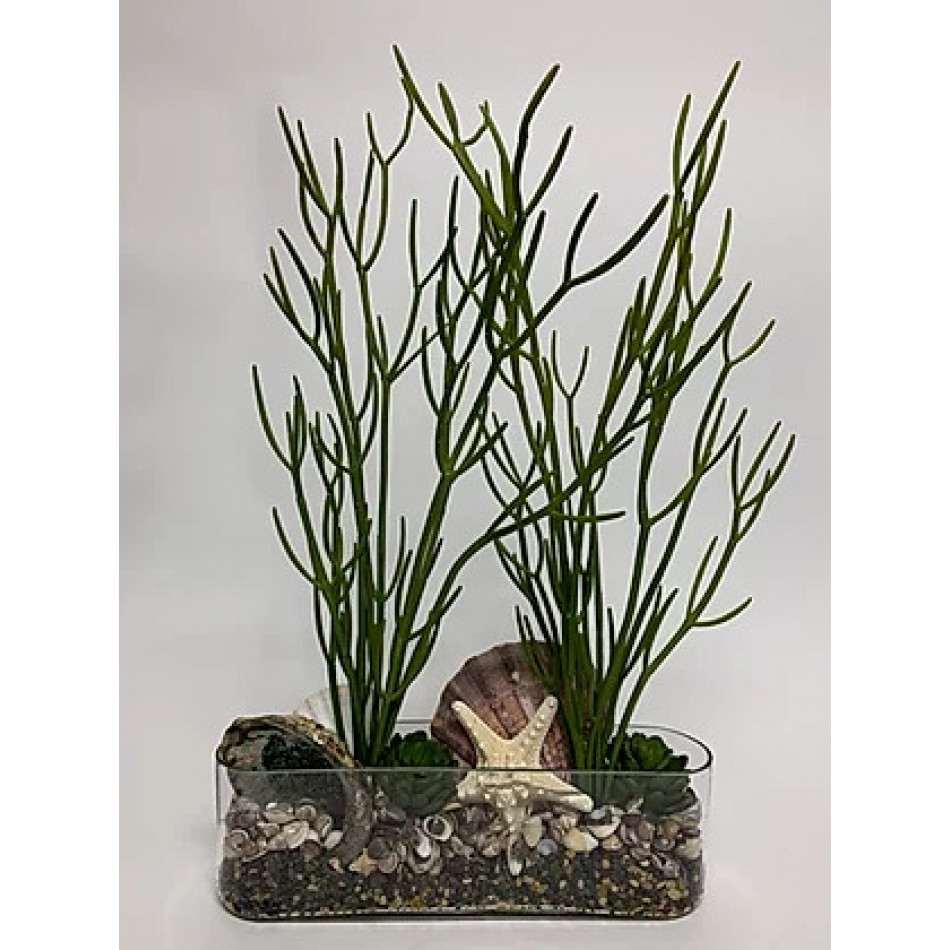 Shell/Firestick in Oval 14" Glass