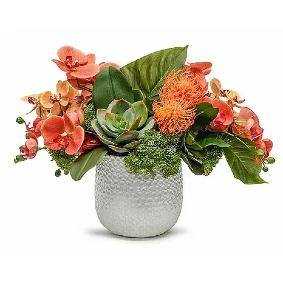 Orchids/Succulents in Ginny Pot