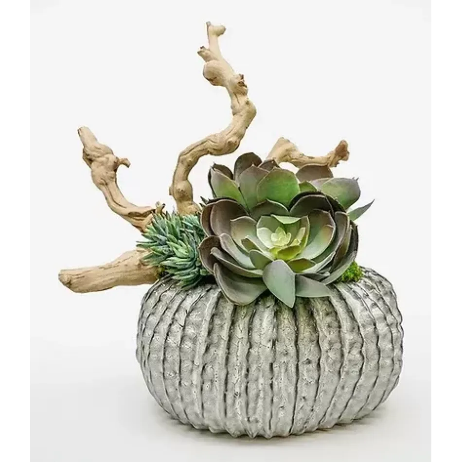 Large Ceramic Pumpkin Succulent