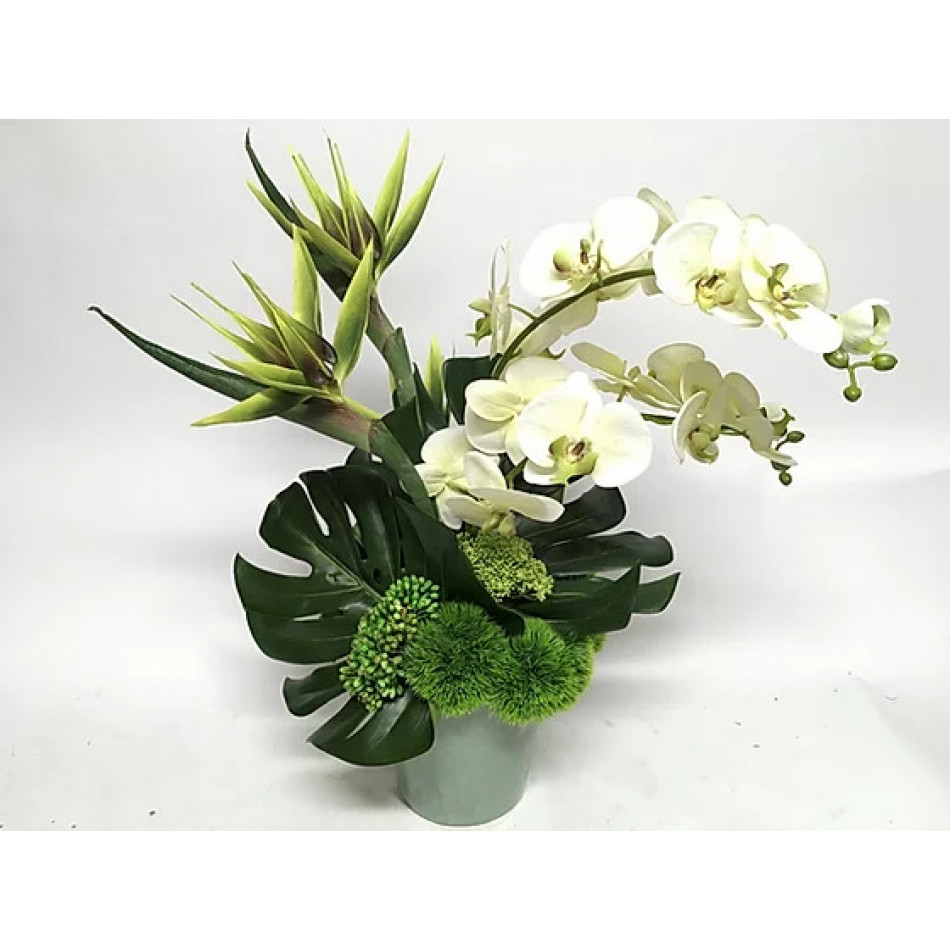 Large Green Tropical