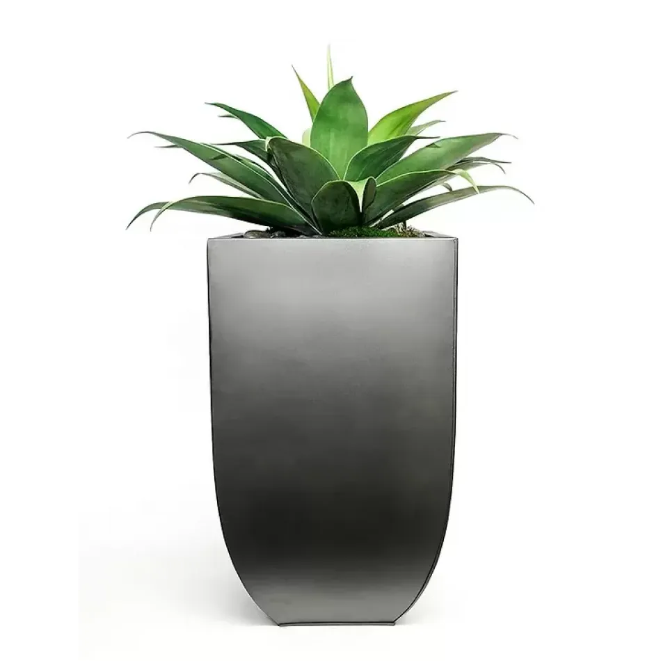 Agave in Tall Black Zinc