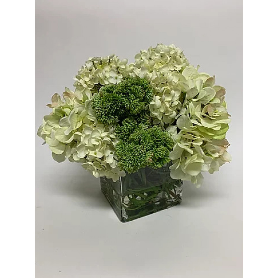 Blush Hydrangea in 6" Cube