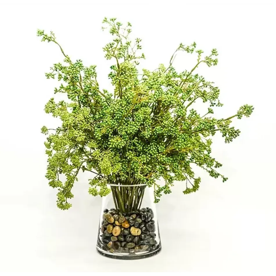 Berry Bush in Pyramid Glass