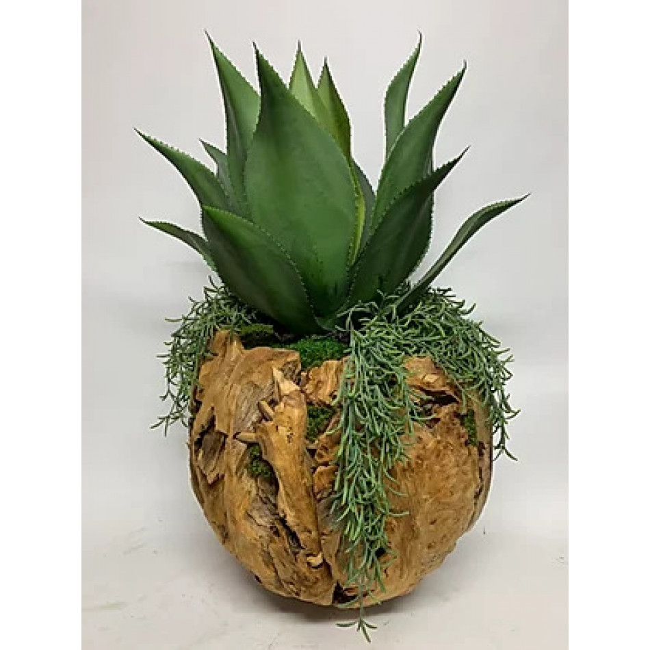 Agave Bowl