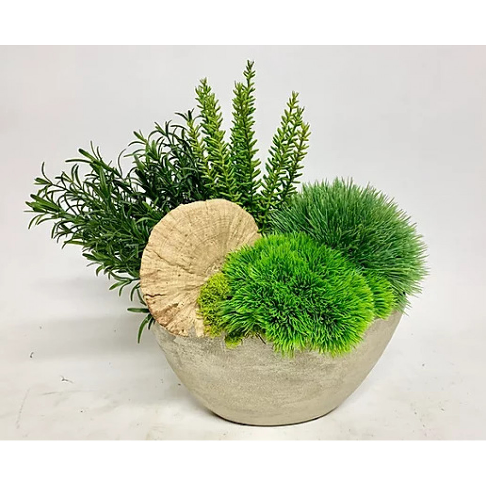 Moss, Rosemary, Mushroom in Zelda 16" x 13"