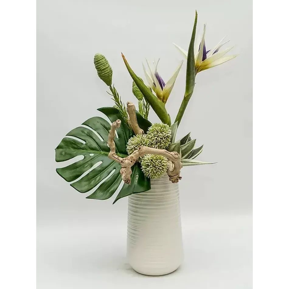 White Bird/Allium20