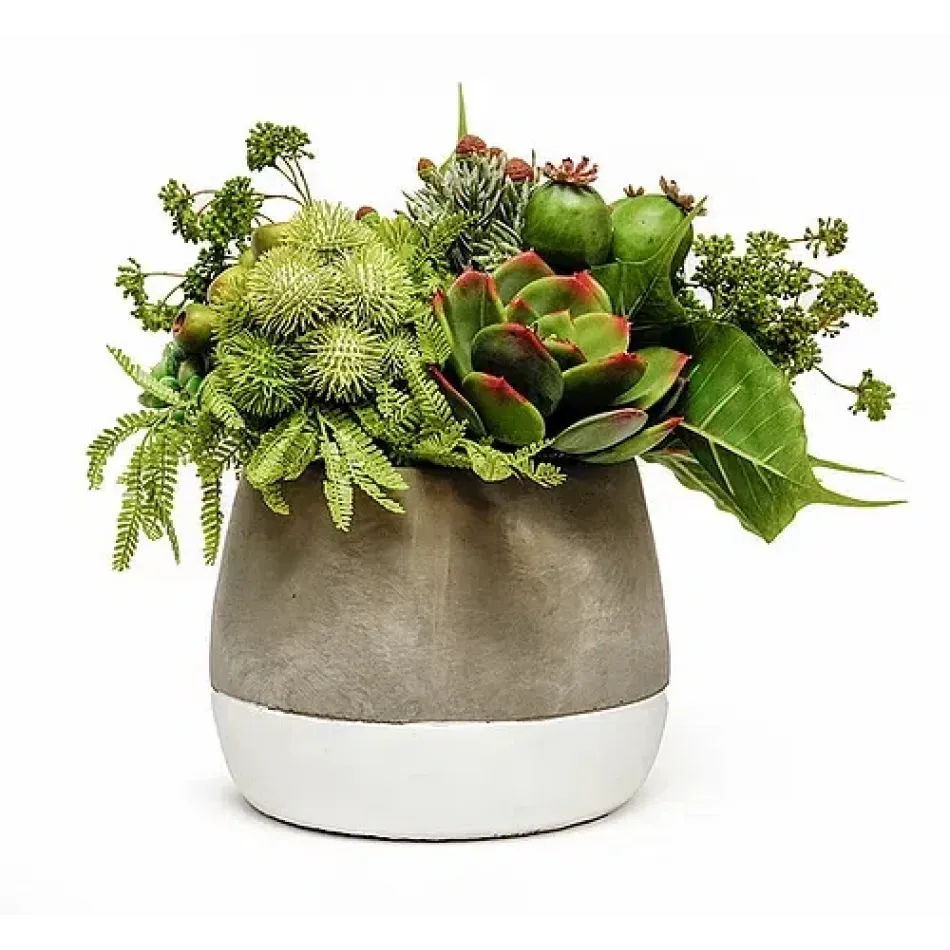 Succulents & Pods in Ash Pot