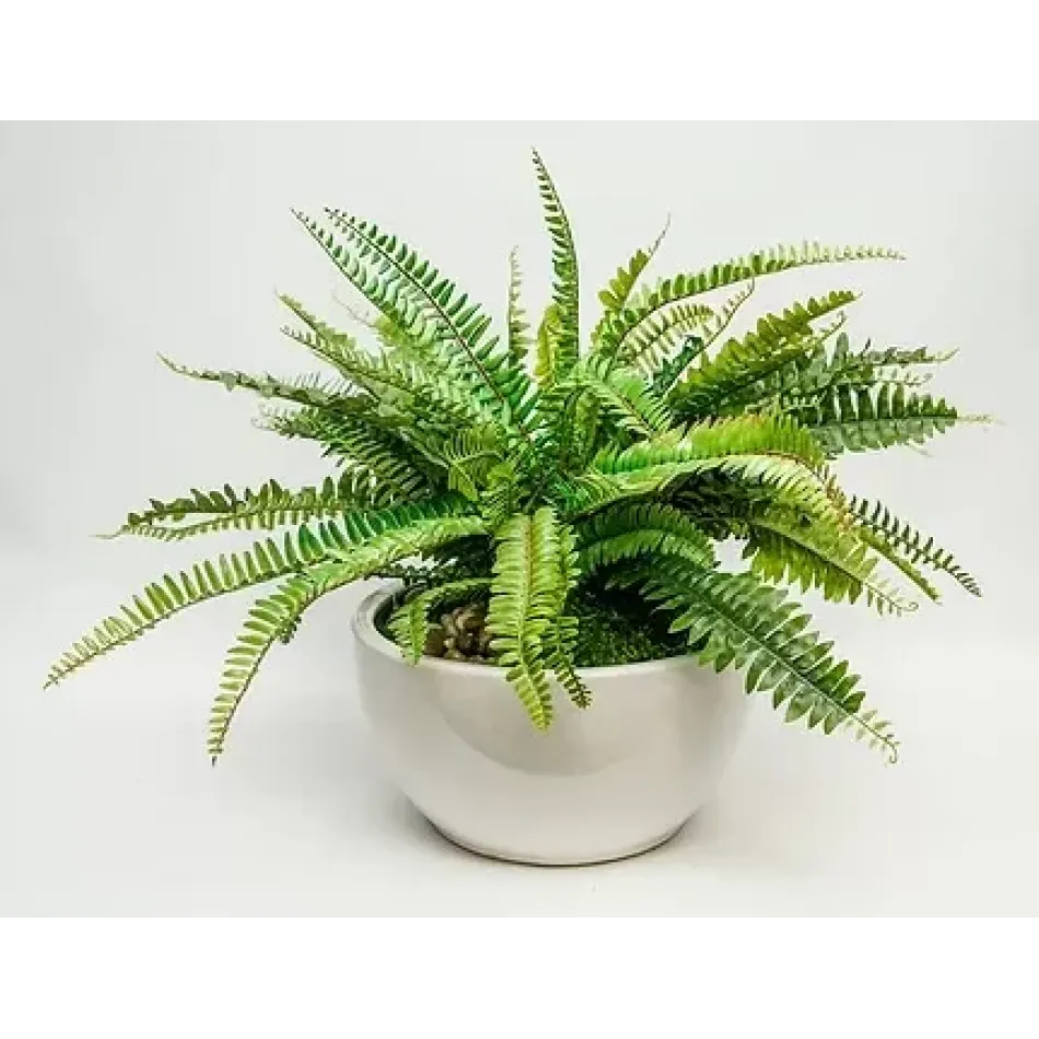 Fern Medium White Bowl