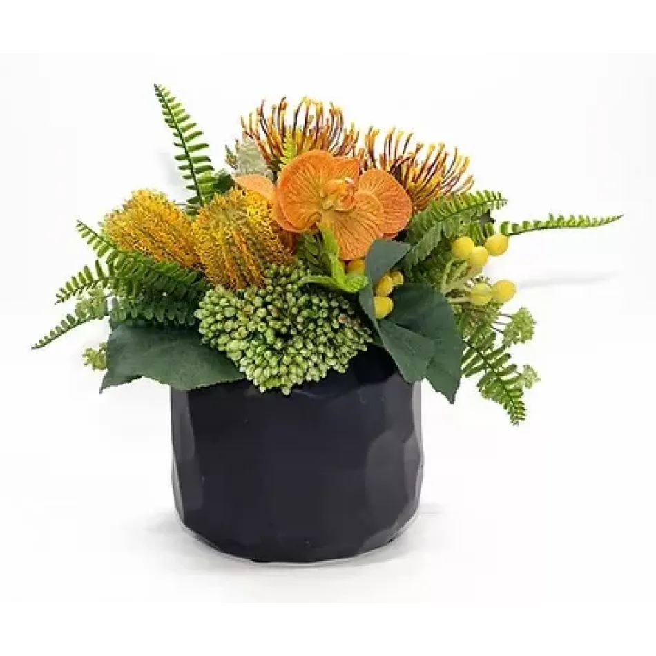 Protea/Banksia Discover Pot