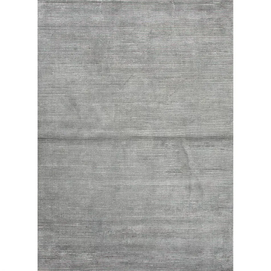 BI02 Basis Gray/Silver  5' x 8' Rug