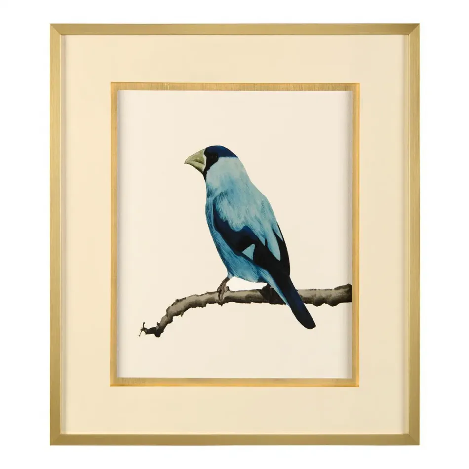 Bird On A Branch Vi 25"W x 29"H x 1.5"D