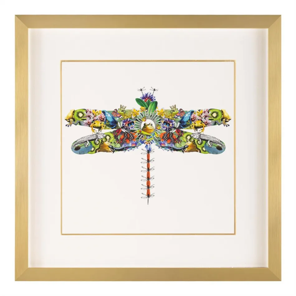 Amy Shaw's Fantasy World Collection: Dragonfly