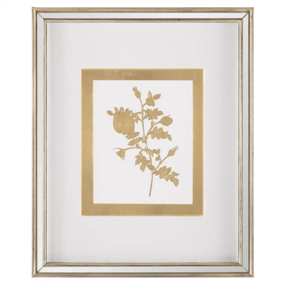 Golden Botanicals V