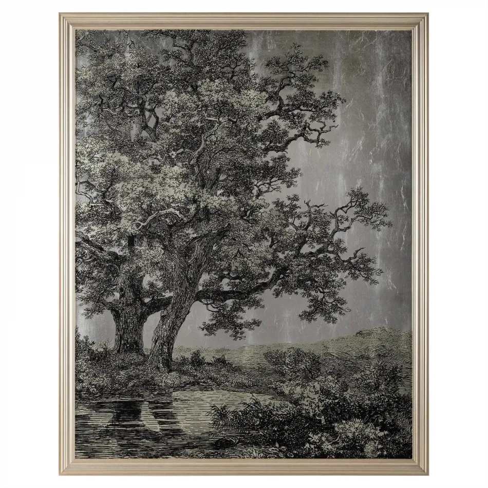 Grand Oaks Silver II