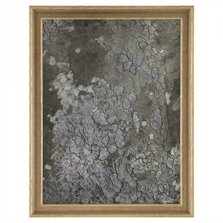 Rodney Bursiel's Salt Fields
