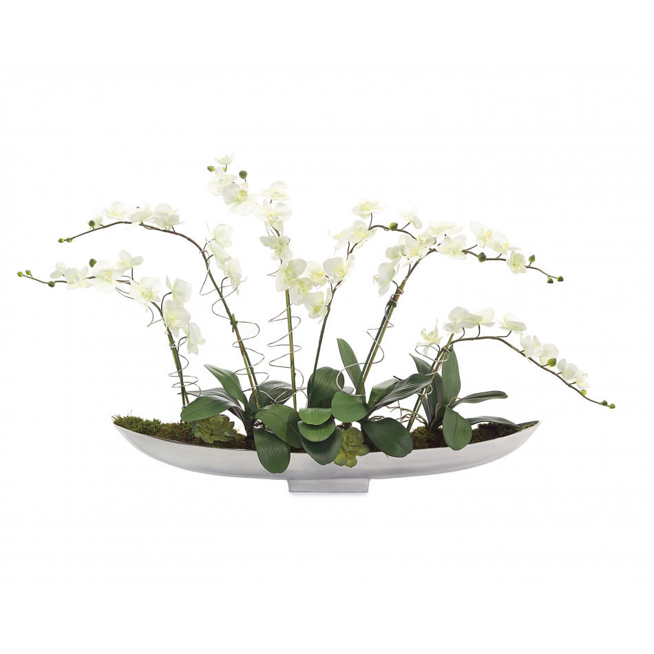 Silver Phals