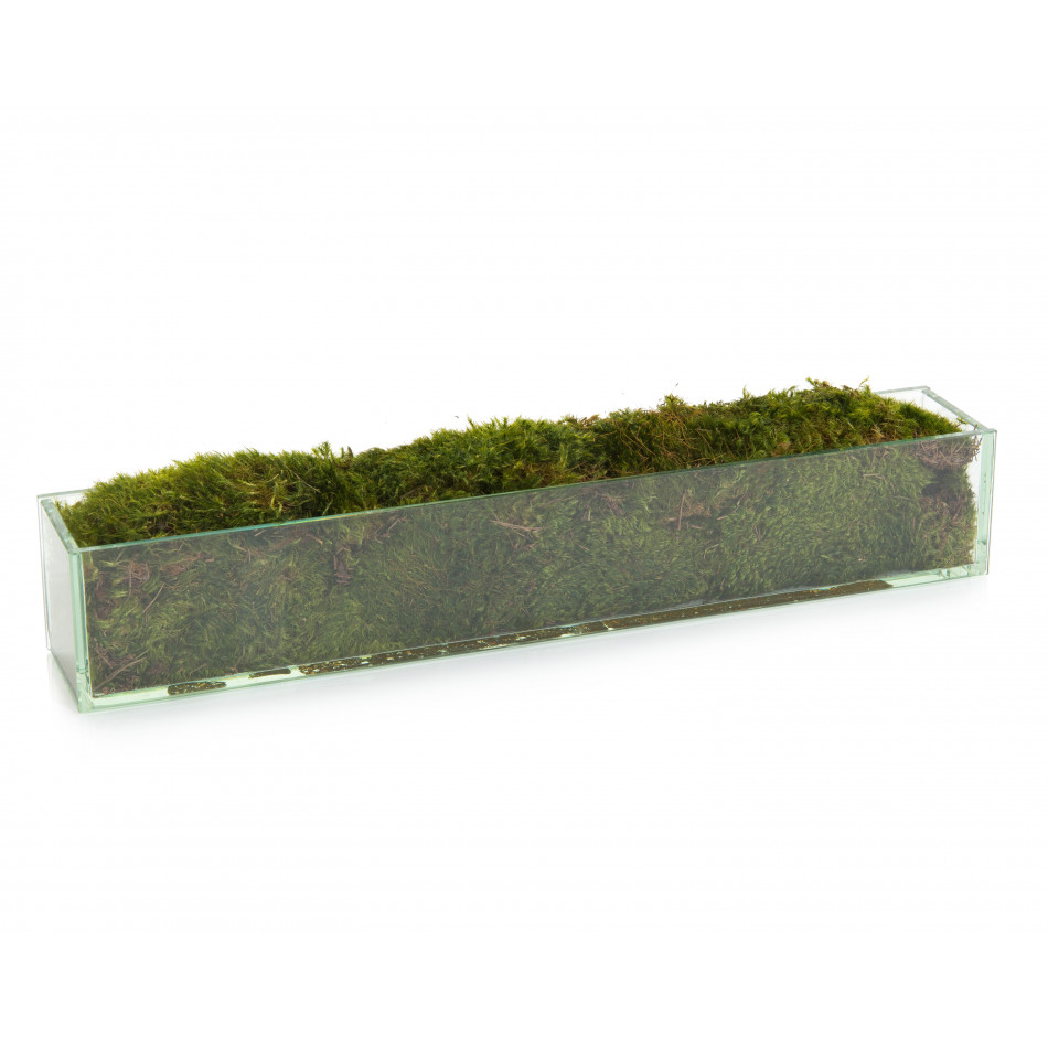 Moss Mound