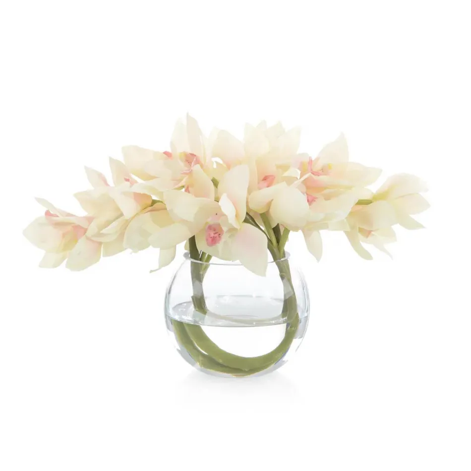 Cymbidium Twist