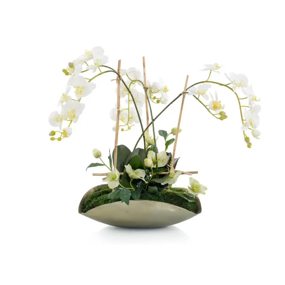 Bamboo Orchid Garden