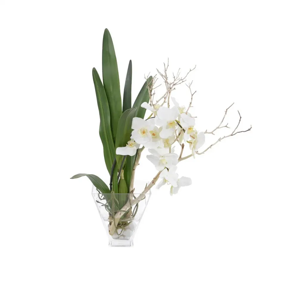 Orchids in Bloom 28"H X 27"W X 16"D