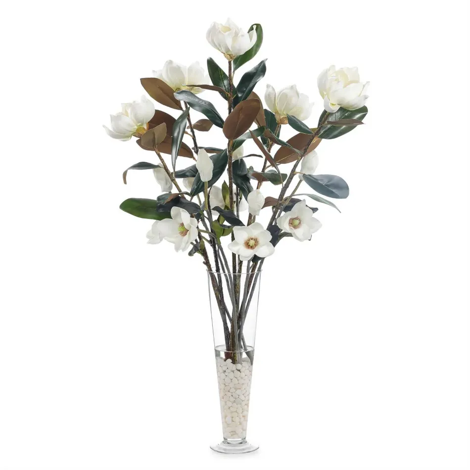 Spring Magnolias