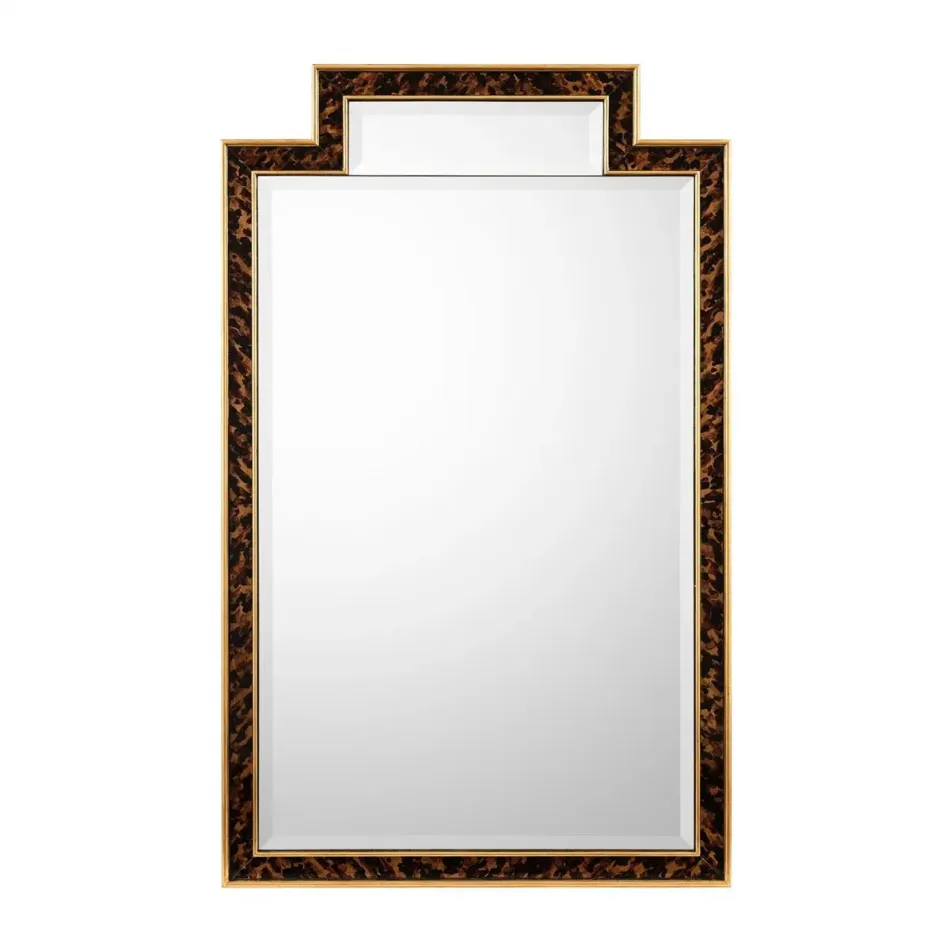 Chelonia Arch Mirror