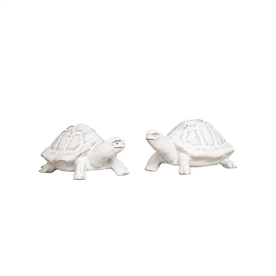 Clever Creatures Turtle Salt and Pepper Shakers Set of 2 pc