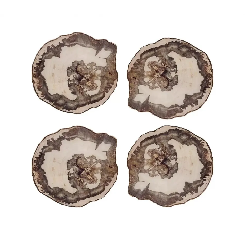 Petrified Wood Multi Coasters Set of Four