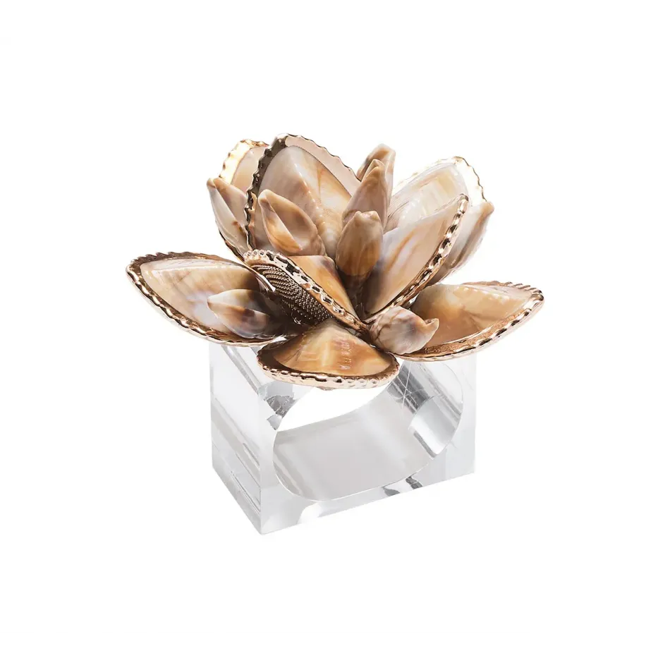 Beachcomber Natural Napkin Ring Set of 4 in a Gift Box