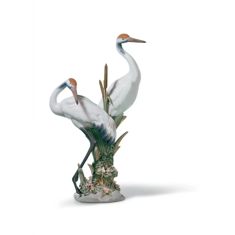 Courting Cranes