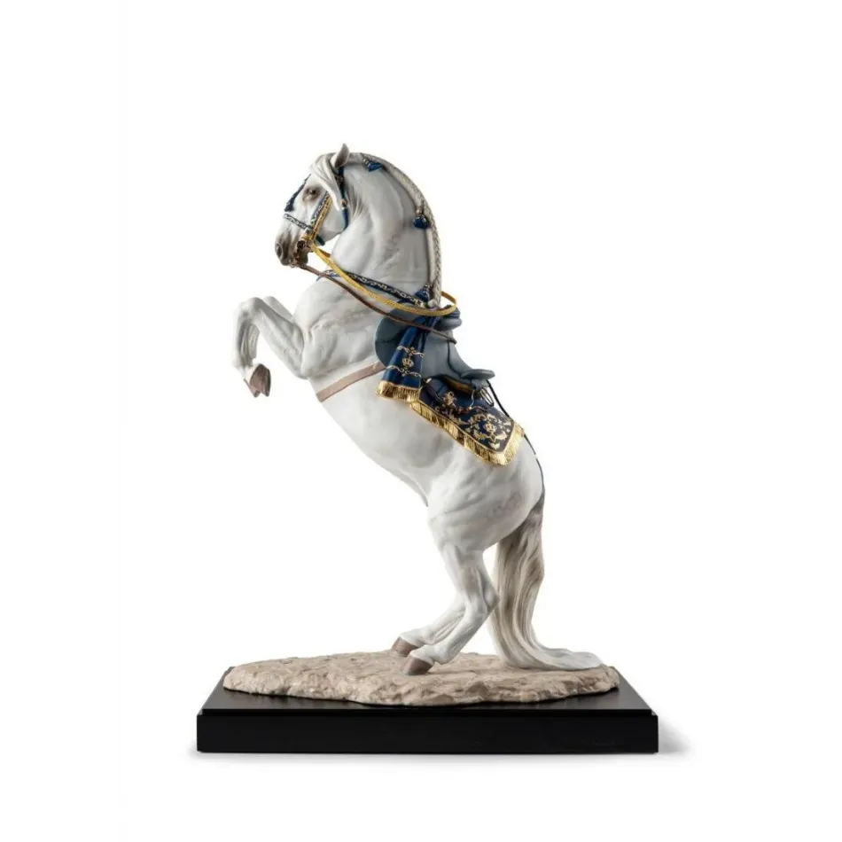Spanish Pure Breed - Haute École (Special Order)