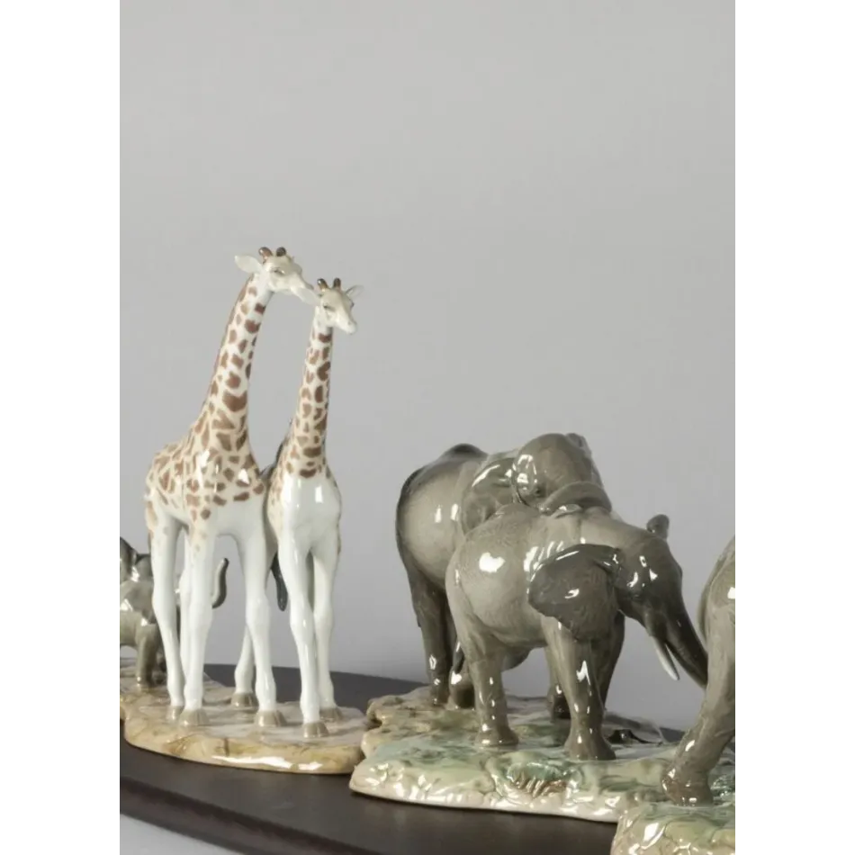 African Savannah (Special Order)