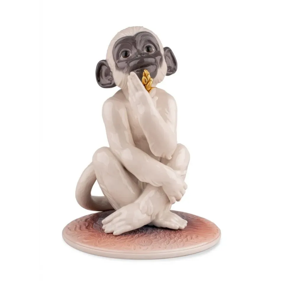Little Monkey