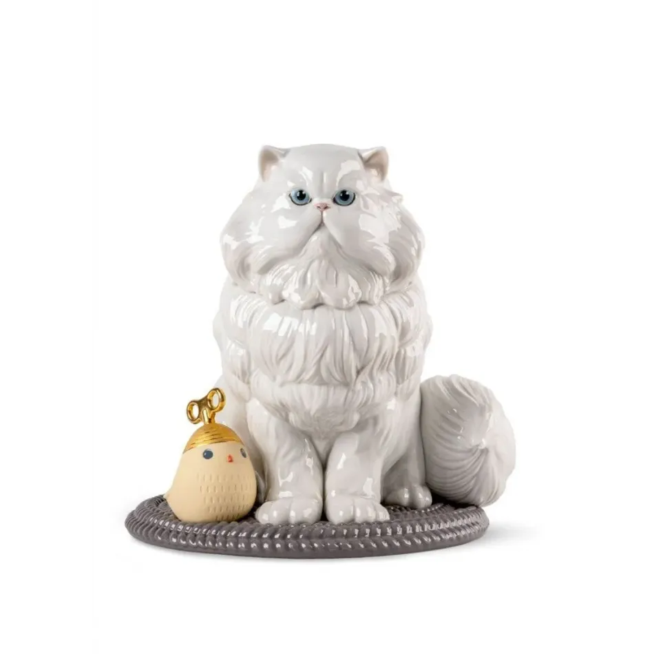 Persian Cat
