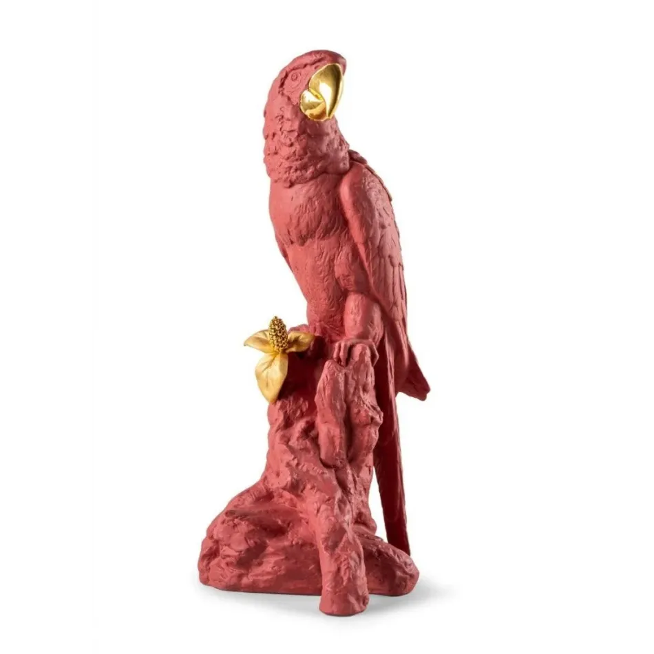 Macaw Bird (Red - Gold)