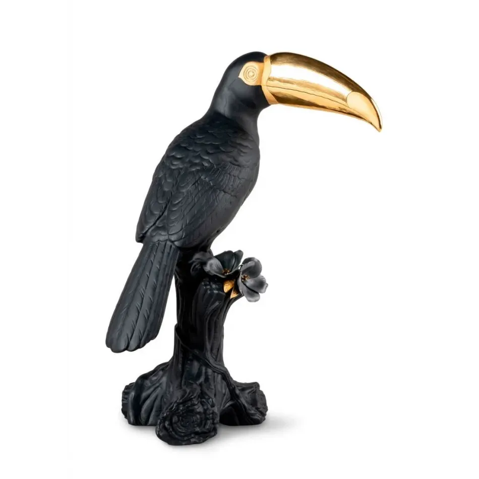 Toucan (Black - Gold)