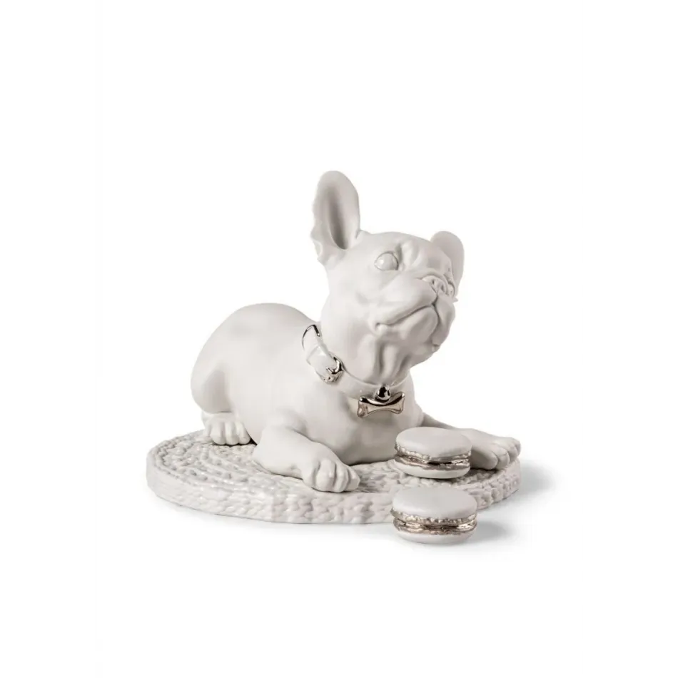 French Bulldog With Macarons (Re - Deco)