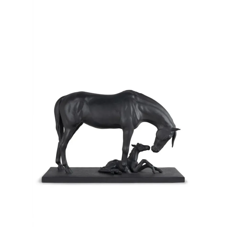 Mare And Foal