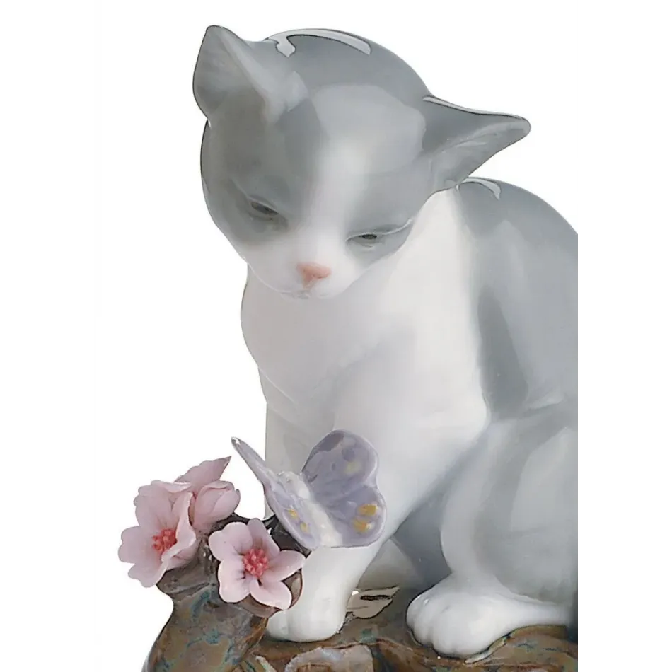 Blossoms For The Kitten