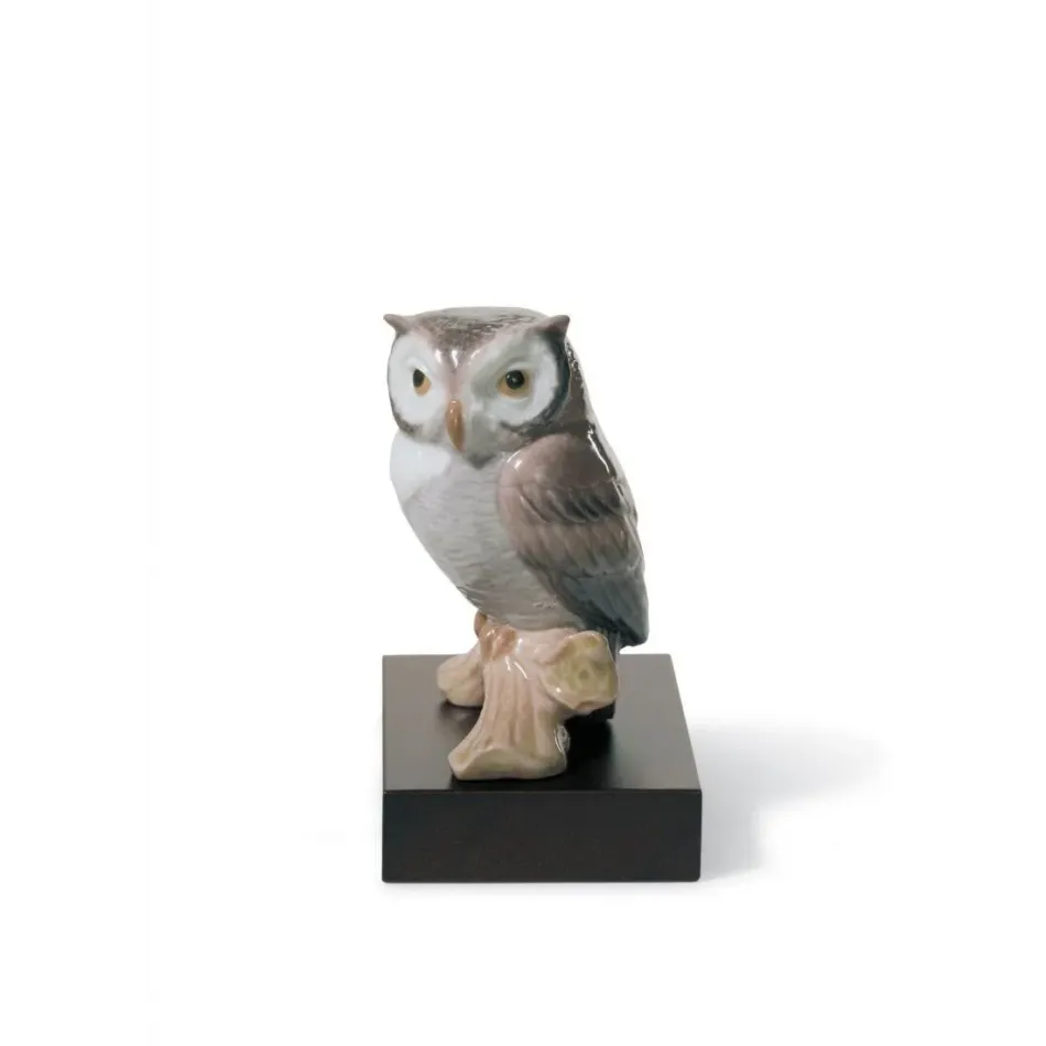 Lucky Owl