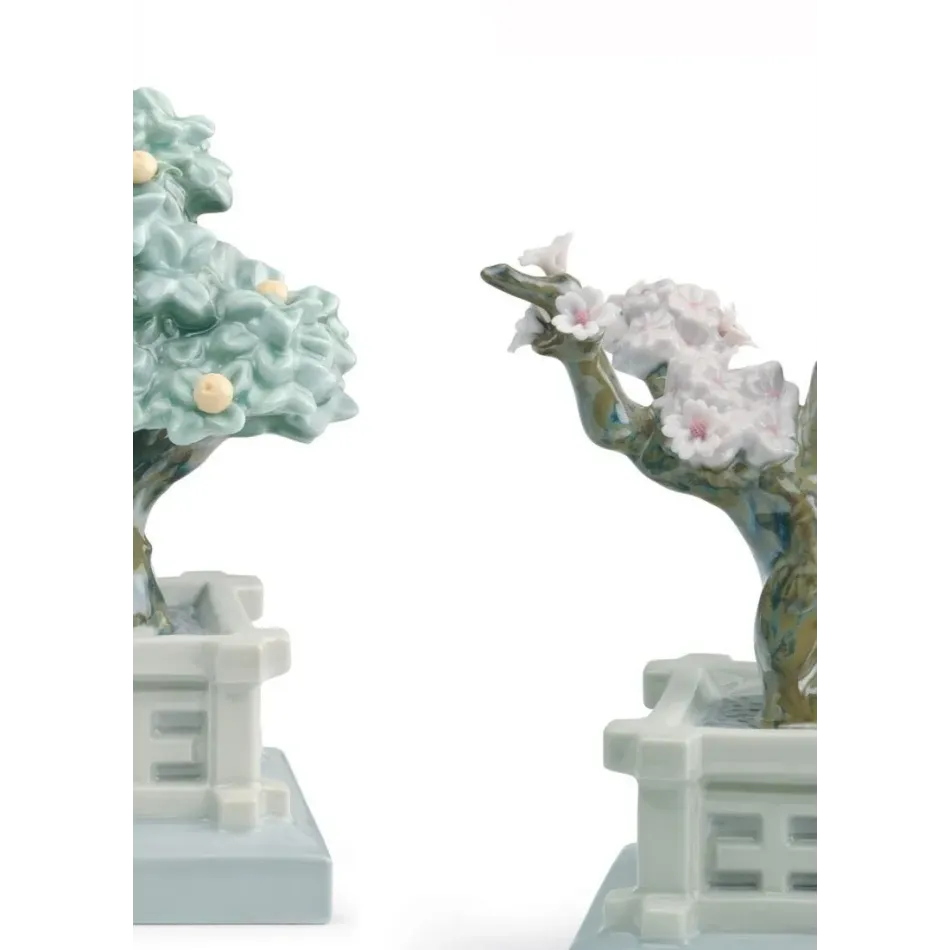 Japanese Tree Pots (Mandarin And Cherry)