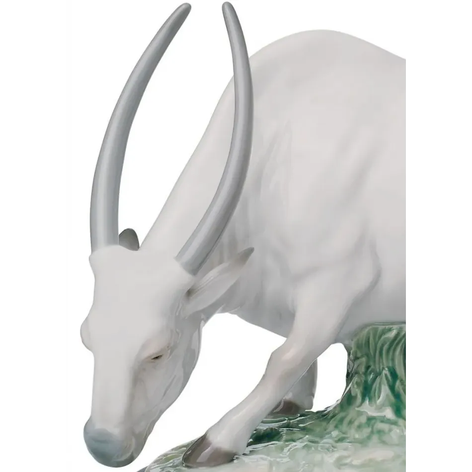 The Ox